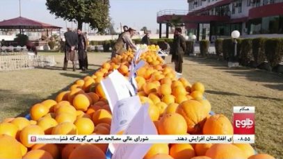 tolo(1)_1.mp4_snapshot_00.29_[2020.12.22_11.50.43]