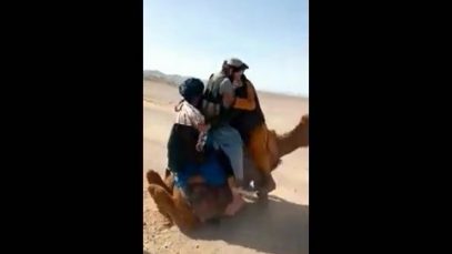 گوشه ای از ماهیت طالبان