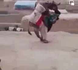 – تمرینات نظامی کماندوهای طالبان