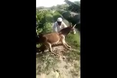 طالب و خر.._۱.